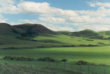Hills at the ranch